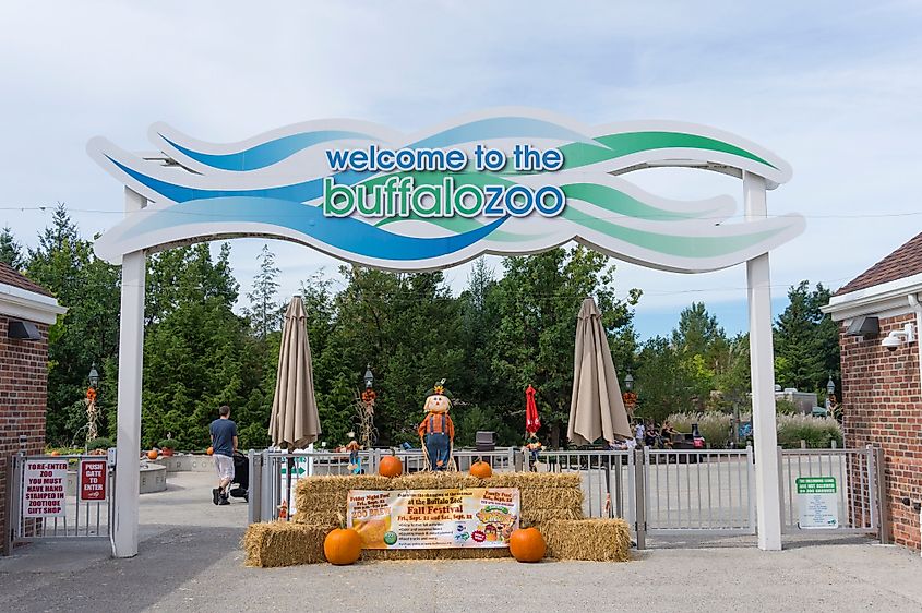 Welcome to the Buffalo Zoo sign. Editorial credit: CiEll / Shutterstock.com