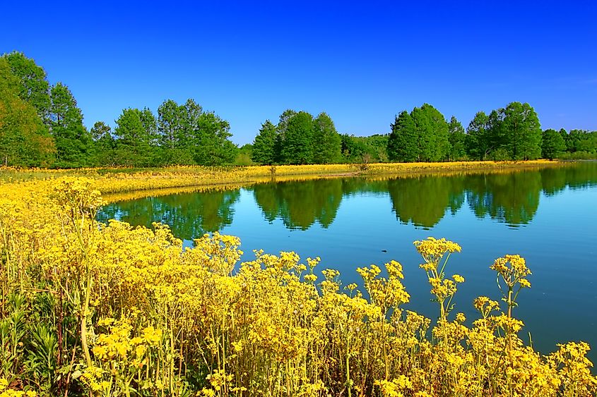 Carlyle Lake at Eldon Hazlet State Park Illinois