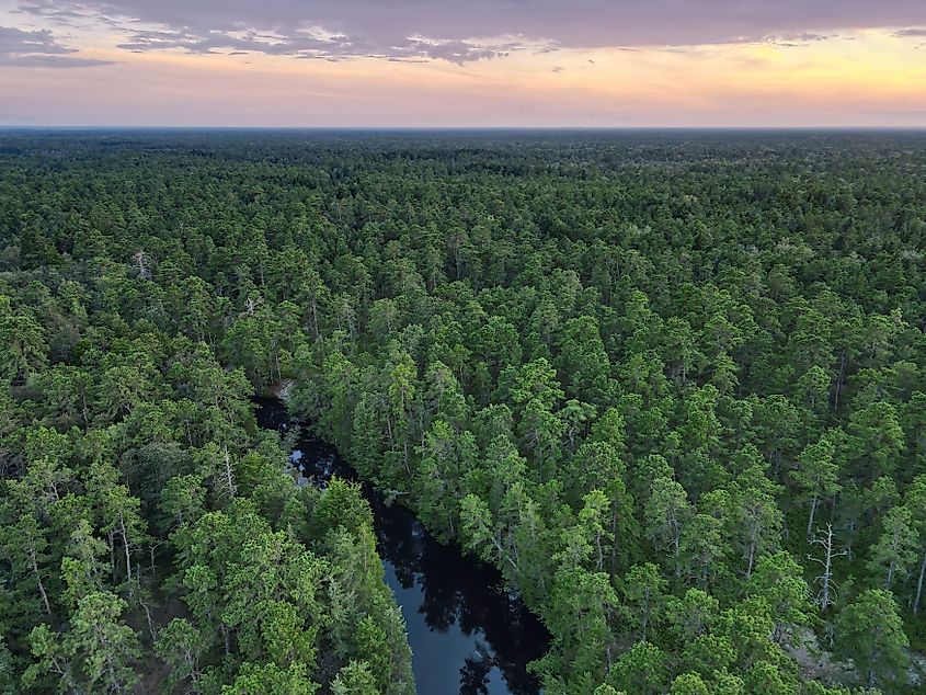 New Jersey Pine Barrens