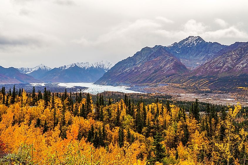 View of fall foliage and mountains in the Mat-Su Valley in Alaska.