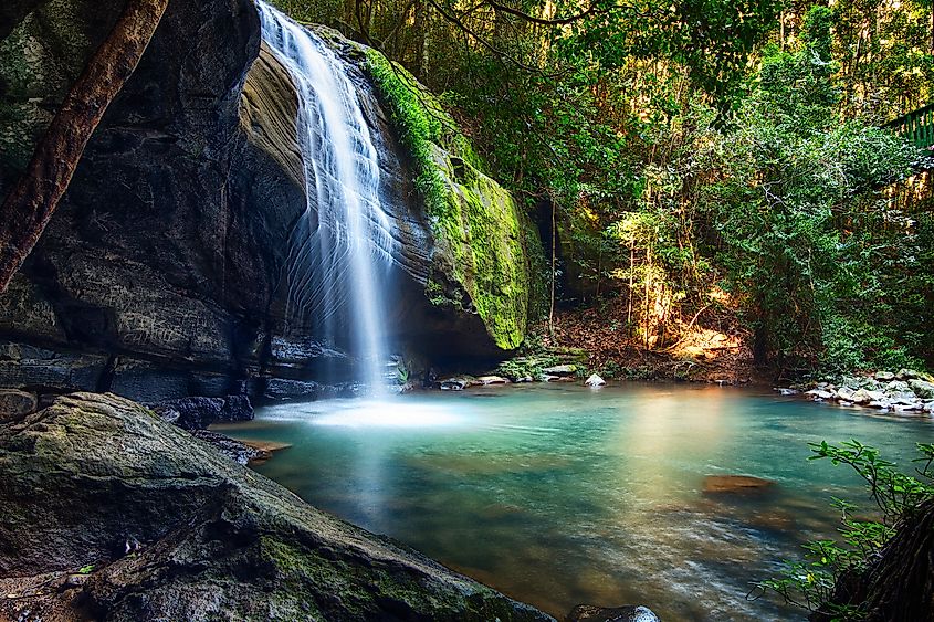 Serenity Falls in Buderim, Queensland.