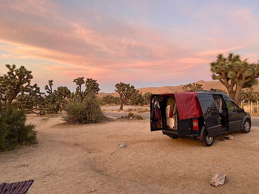 A blue van sits amongst Joshua trees and beneath a post-sunset pastel sky