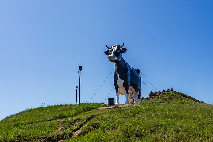 Salem Sue in New Salem, North Dakota.