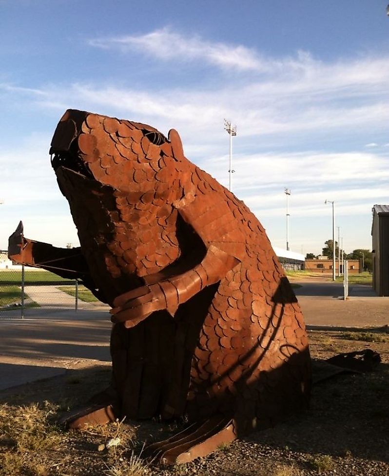 Scott City mascot, the Scott City County Beaver.