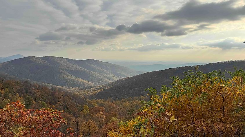 Shenandoah National Park and Skyline Drive Photo by Bryan Dearsley