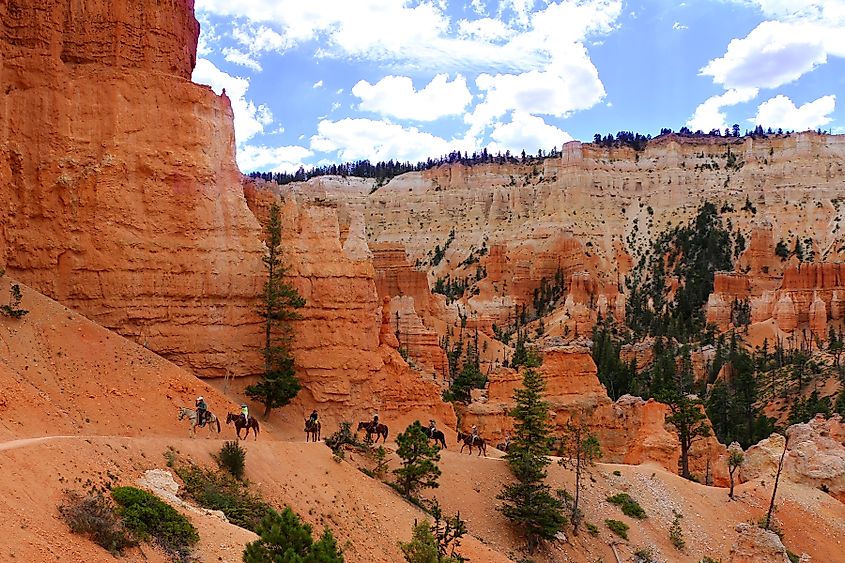 Horses with tourists at the Bryce Canyon National Park, Utah.