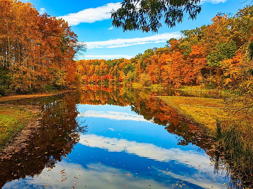 Fall Foliage at Seneca Creek State Park