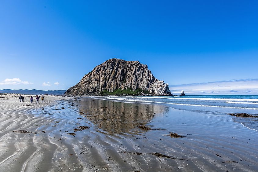 Morro Strand state beach, on the California Central Coast, near Cambria, CA.