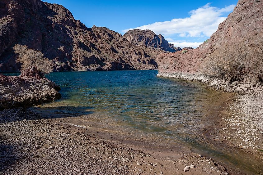 Water from Arizona Hot Spring in Nevada.