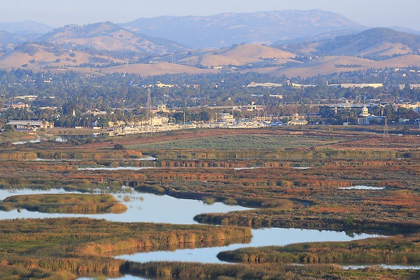 Suisun Marsh, Suisun City