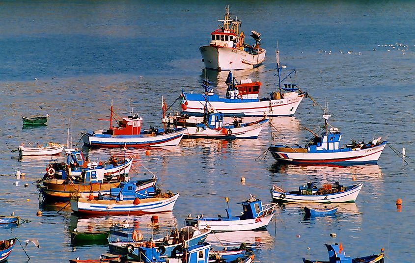 Sines’ fishing harbor teems with vessels.