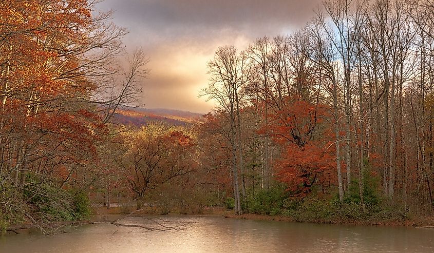 A beautiful shot of an autumn day in the Hungry Mother State Park in Virginia.