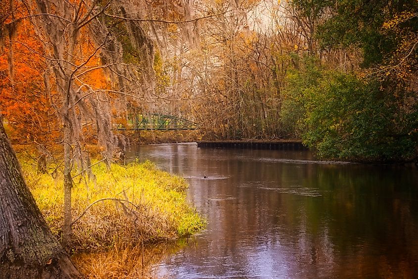 Edisto River surrounded by fall foliage in Orangeburg, South Carolina.