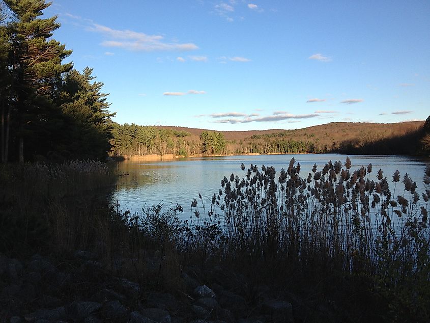 Portland Reservoir in Meshomasic State Forest.