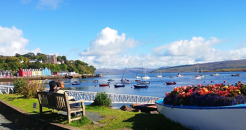 A couple enjoying a sunny day in Tobermory, Scotland, with vibrant, colorful buildings lining the waterfront, set against a backdrop of the picturesque harbor.