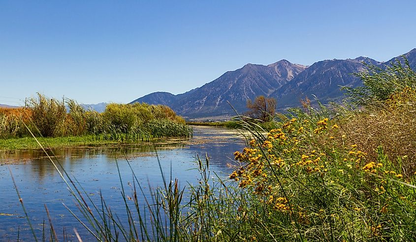 From a bend in the West Fork Carson River near Genoa, Nevada, looking towards the Pine Nut Mountains.