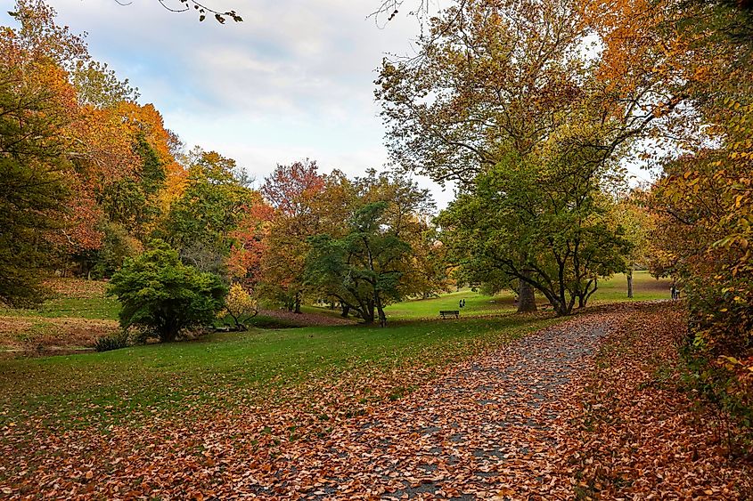 Beautiful autumn scenery at Valley Garden Park in Greenville, Delaware.