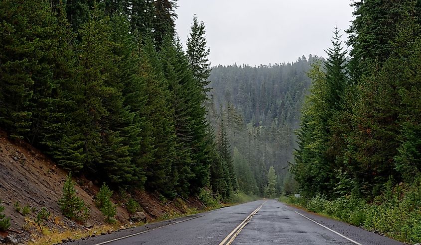 Mt Hood Scenic Byway, Oregon on a rainy day