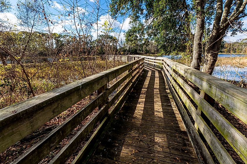 Old Wooden Walkway and Observation Deck at Brazos Bend State Park, Texas.