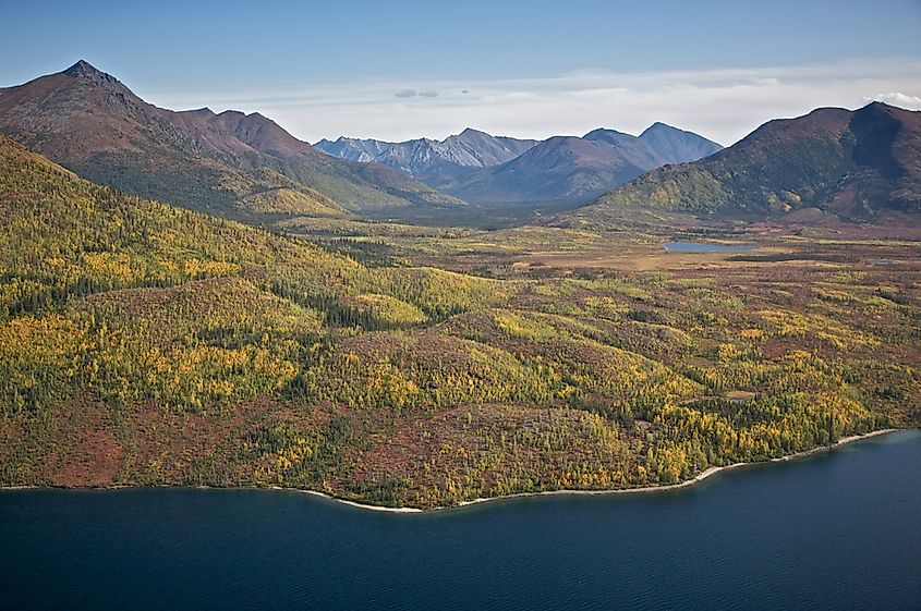 10 Largest National Parks In The United States WorldAtlas