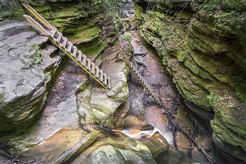 Bear Hollow at Indiana's Turkey Run State Park.