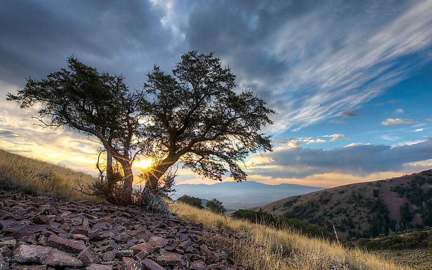 Jim Sage Mountains near Burley, Idaho.