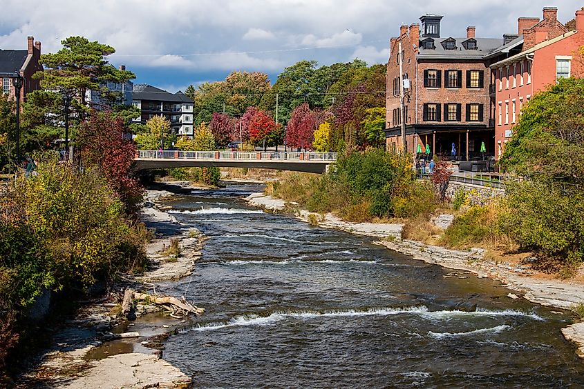 Salmon Run in Ganaraska River. Port Hope, ON.