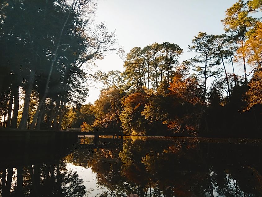 Magnolia Springs, Alabama.