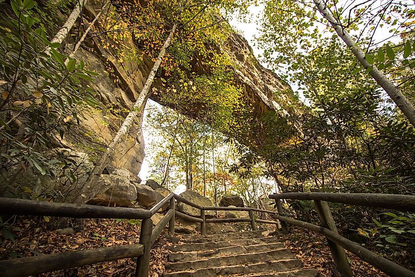 Natural Bridge State Park in Slade, Kentucky.