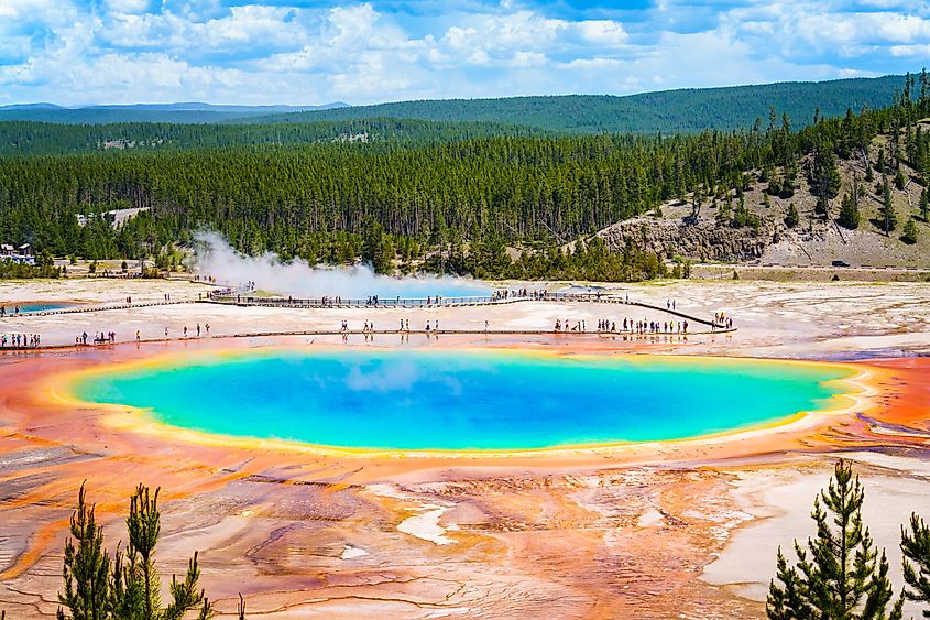 Grand Prismatic Springs in the Yellowstone National Park.
