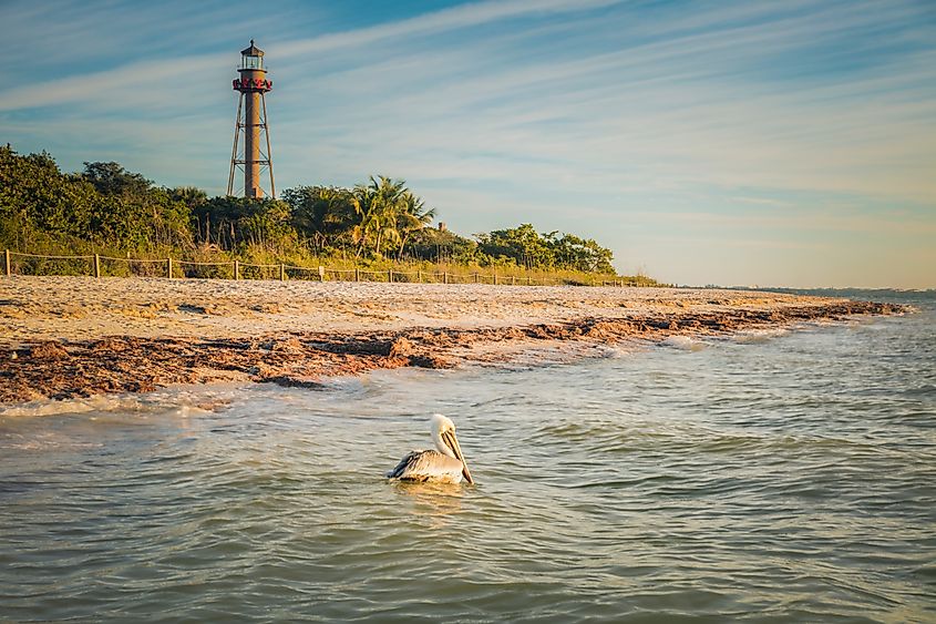 The lighthouse at the Sanibel Beach Park.