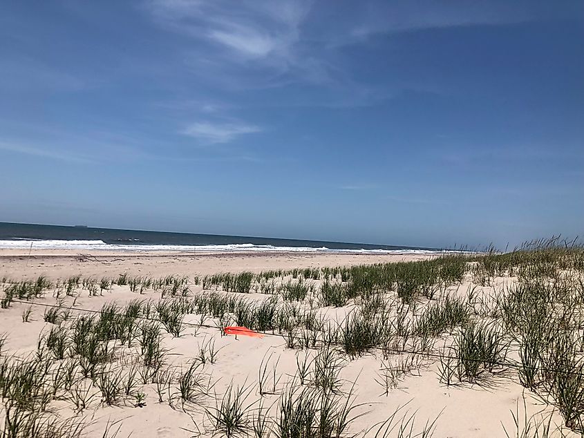 The Fire Island National Seashore during spring