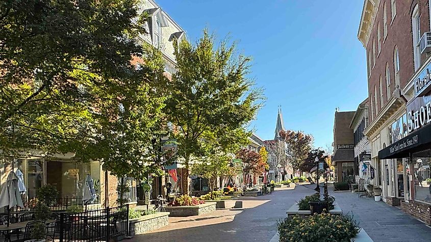 Old Town Winchester is a wonderful pedestrian-only zone to explore (Photo by Bryan Dearsley)