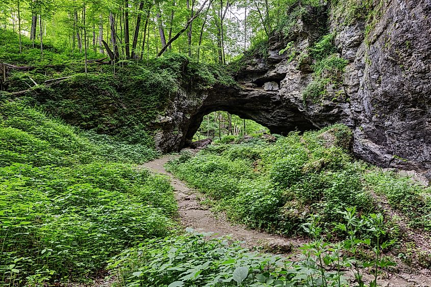 Natural Bridge looking North Maquoketa Caves State Park, Maquoketa, Iowa.