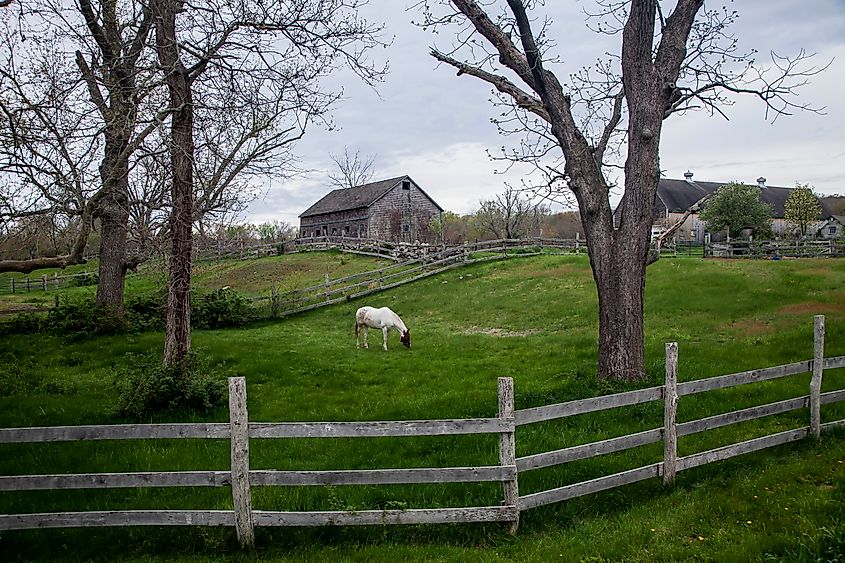 Countryside near Exeter, Rhode Island