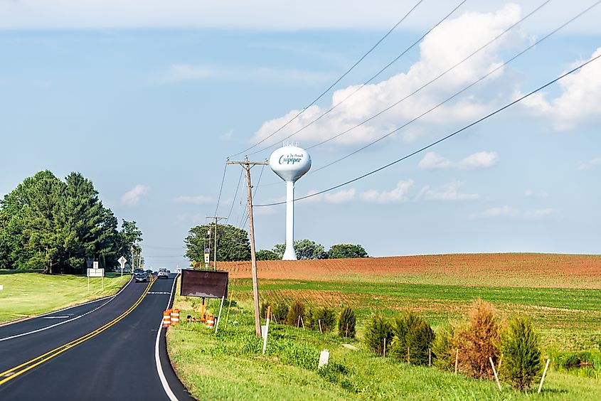 View of a Culpeper water tower amidst acres of farmland in Virginia.