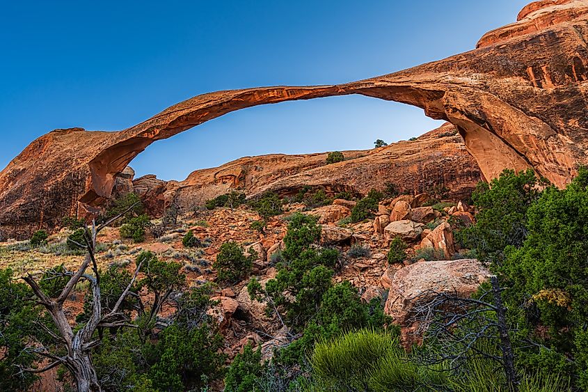 The Landscape Arch in Arches National Park near Moab, Utah, during the blue hour.