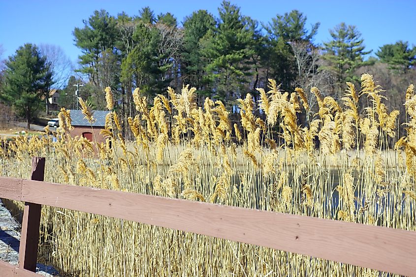 A park in Derby, Connecticut.