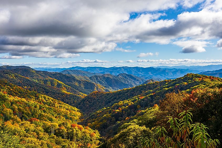 Beautiful autumn scenery in Great Smoky Mountains National Park