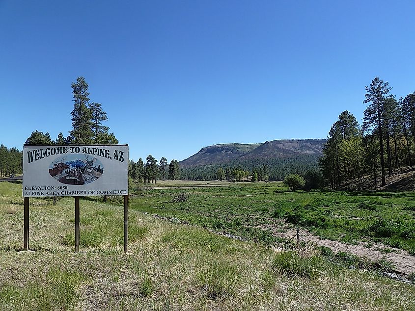 Welcome sign to Alpine, Arizona.