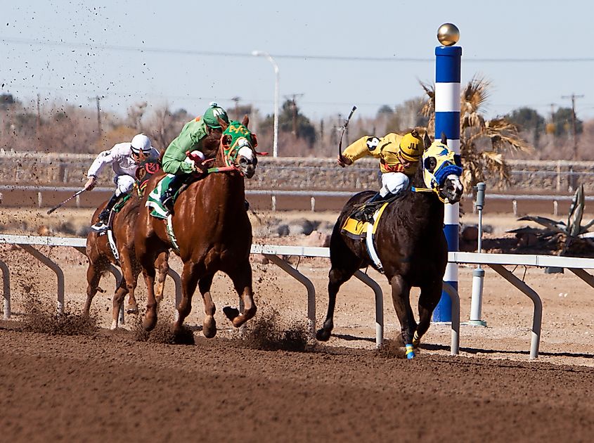 Horseracing in the racetrack in Sunland Park, New Mexico