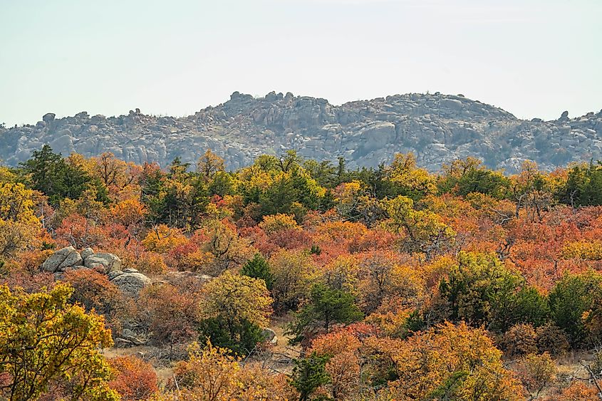 Fall foliage in the Wichita Mountains Wildlife Refuge near Medicine Park in Oklahoma.