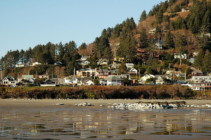 A coastal village on an Oregon hillside, featuring water, sky, beach, trees, and small houses by the sea.