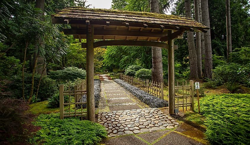 Japanese wooden garden gate in Bloedel reserve, cobble stone path road, zen background with outdoor beautiful scenic nature near Seattle, Bainbridge Island, Washington.