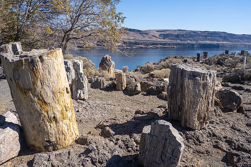 Ginkgo Petrified Forest State Park, the Wanapum Recreational Area.