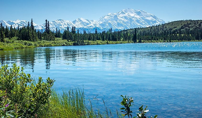 Mount Denali (former Mount McKinley) with Wonder Lake, Alaska