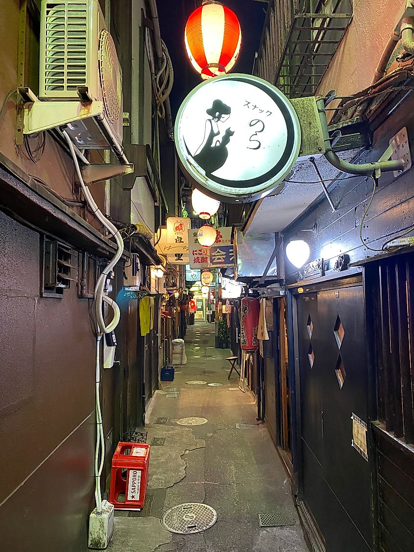 A slim alley lined with non-descript bars (izakayas) in a hidden part of Tokyo