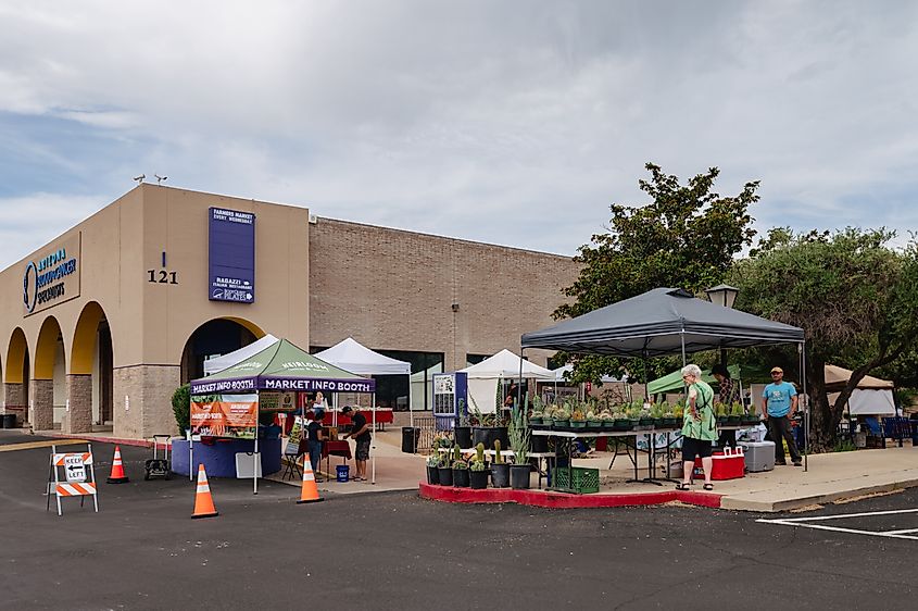 Farmer's Market in Green Valley, Arizona