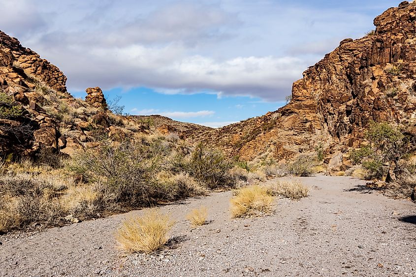 View of Sloan Canyon in Nevada.