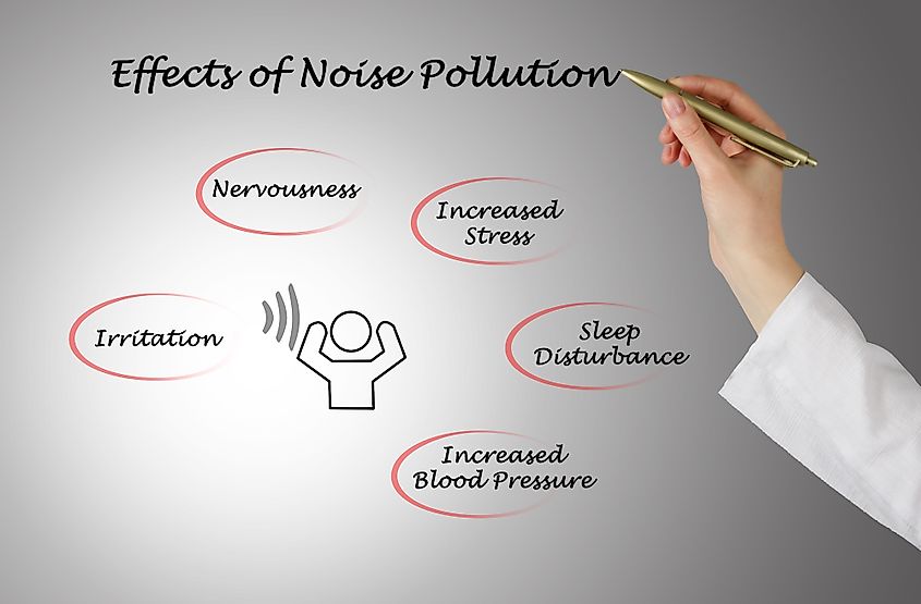 effects of noise pollution